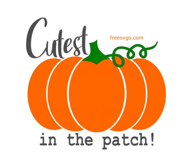 FREE Cutest Pumpkin in The Patch SVG File - Free SVG Cut Files